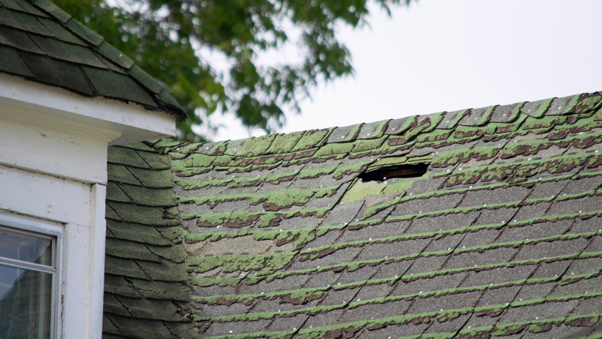 Roof damage is found in home inspection for first time homebuyer.